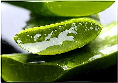 10 spectacular uses of the aloe vera plant