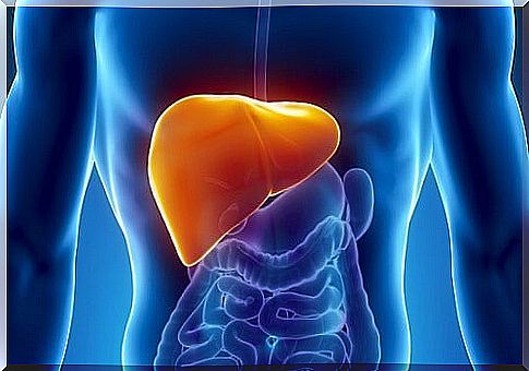 12 foods that strengthen the liver