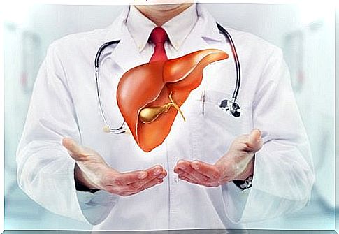 Foods that strengthen the liver and its importance