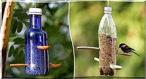 Recycling plastic bottles in the food container