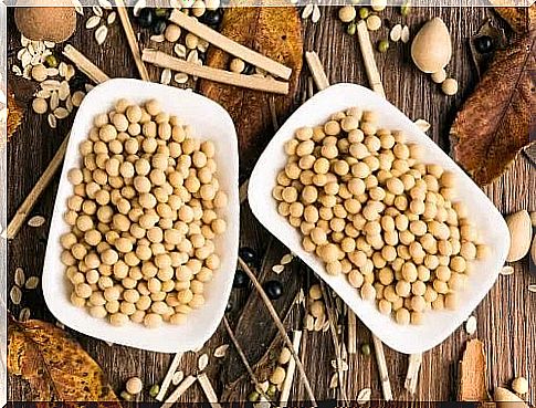 Soybeans in bowls