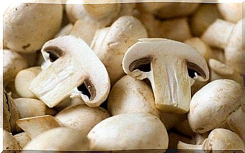 Delicious recipes with champignon mushrooms