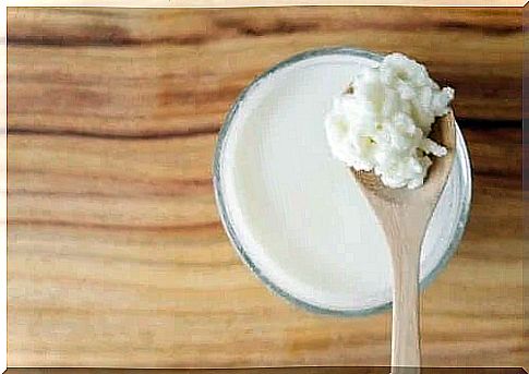 Spoon with kefir mushroom