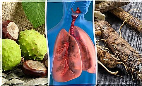 4 natural remedies that strengthen the lungs