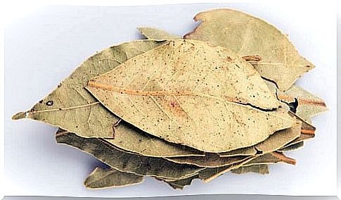 Bay leaves are natural remedies that strengthen the lungs