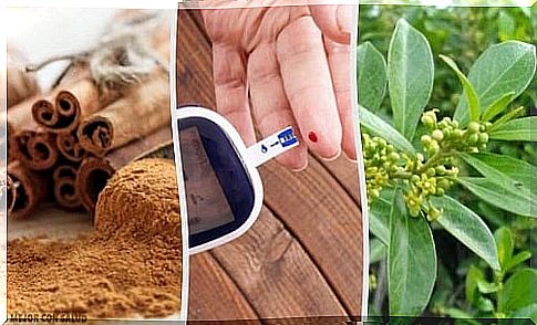 5 herbs that fight diabetes