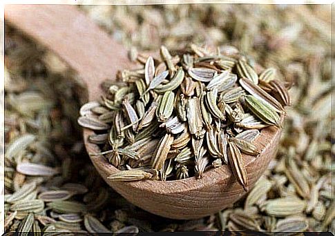 Fennel for medicinal infusions for colon cleansing