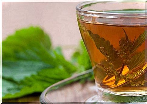 Sage and nettle tea