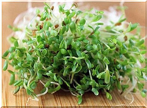 Remedies for alfalfa hot flashes