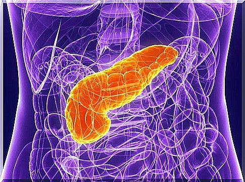 5 tricks to protect your pancreas