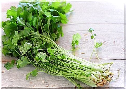 Coriander to eliminate bad body odors