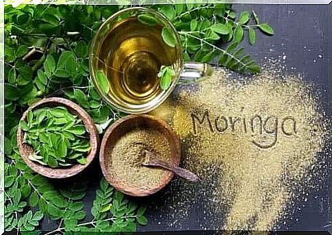 Characteristics and uses of Moringa oil