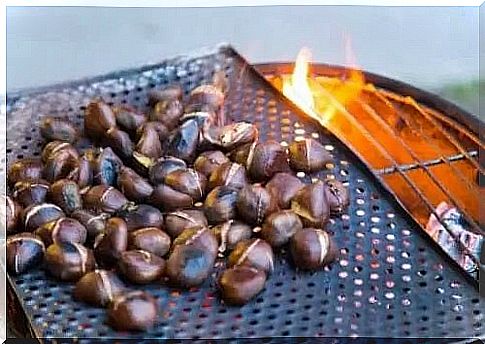 Grilled chestnut recipes