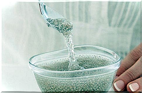 Chia seed gel: benefits and preparation