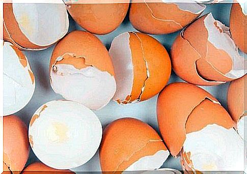 Eggshell - surprising uses