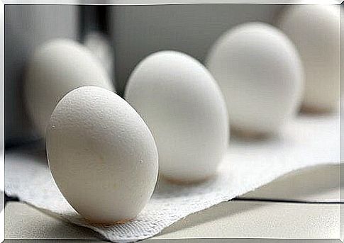 Eggshell: eggs