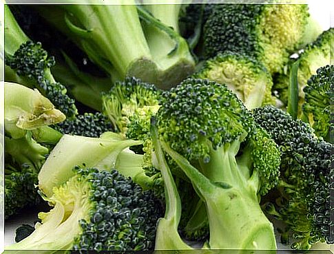 Broccoli prevents osteoporosis