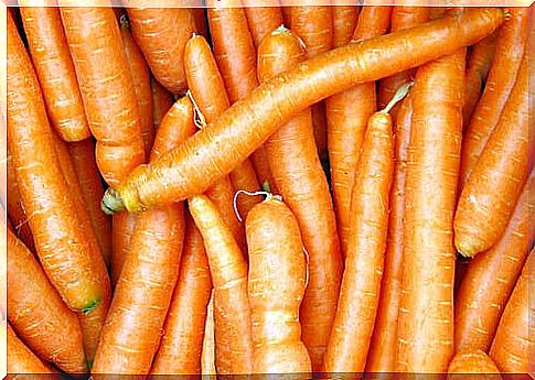 Vitamin A in carrots prevents osteoporosis