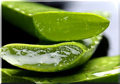 Aloe vera as a hair loss prevention treatment