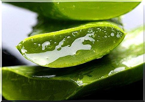 Health benefits of aloe vera