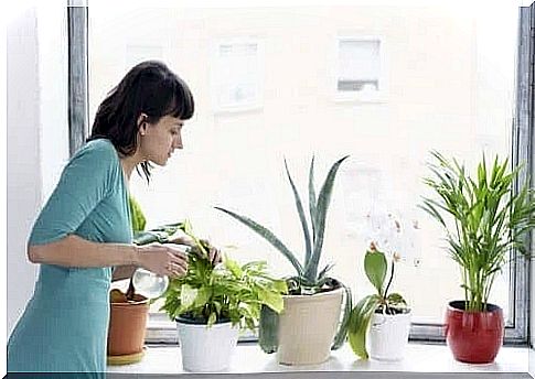 Woman who knows how to grow fresh herbs at home