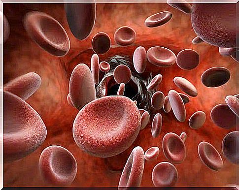 Red blood cells