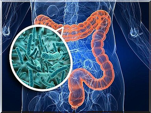 Intestinal health - the key to a functional body