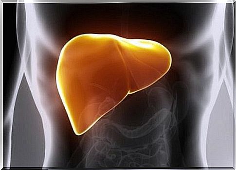 Natural remedies for a healthy liver