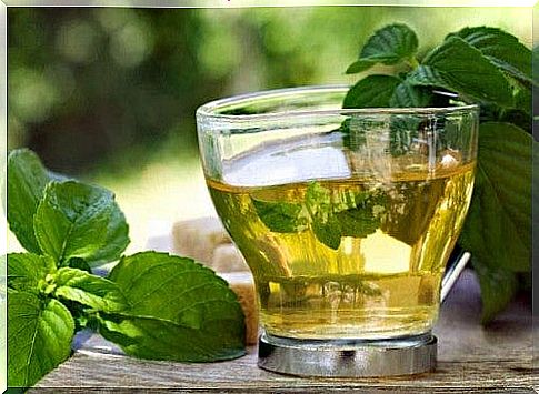 Boldo tea, a remedy for the liver