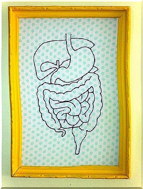 Foods banned in diverticulosis to keep the intestines healthy