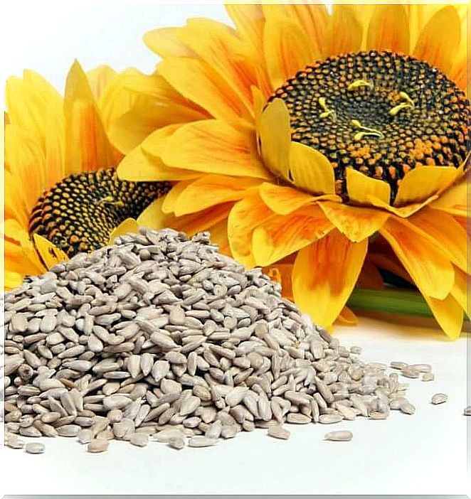 Sunflower seeds