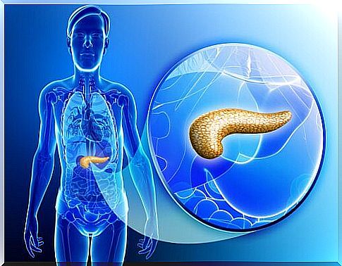 Cleansing and revitalizing the pancreas with the help of healthy habits