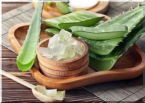 Treatment of canker sores in children with aloe vera