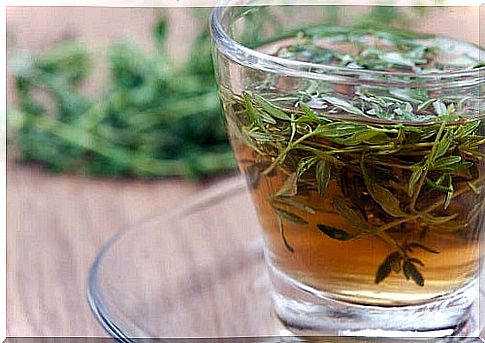 Strengthening the immune system among the benefits of thyme tea