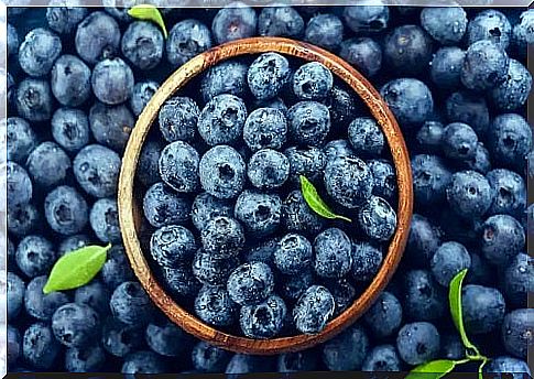 Fresh blueberries